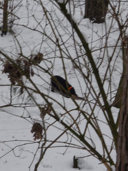 hon_konopiste (72).jpg